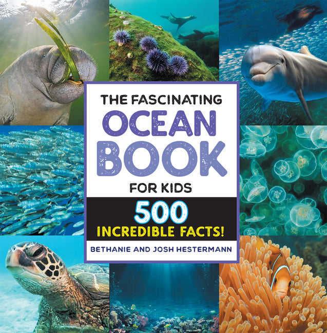 The Fascinating Ocean Book for Kids: 500 Incredible Facts! Callisto Kids